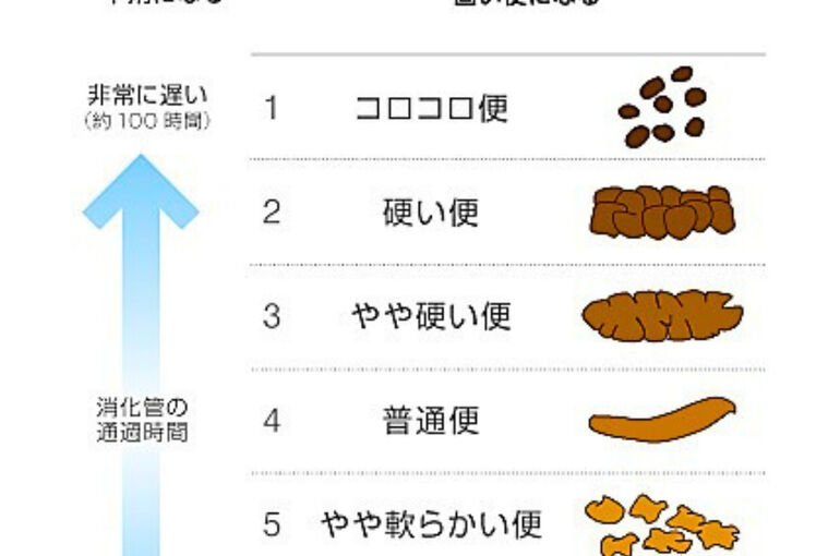 ブログ}